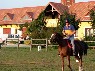 Babos Major - Aranyosi Vendégház