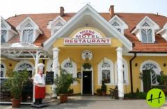Mizse Motel