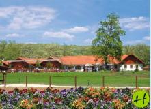 Lázár Lovaspark