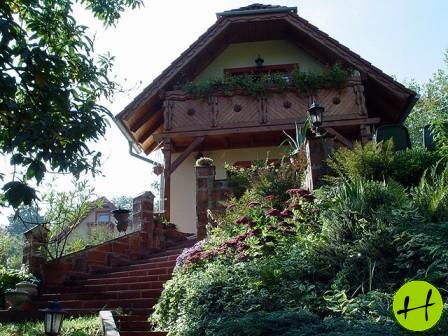 256_pic7