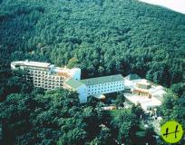 Hotel Lővér