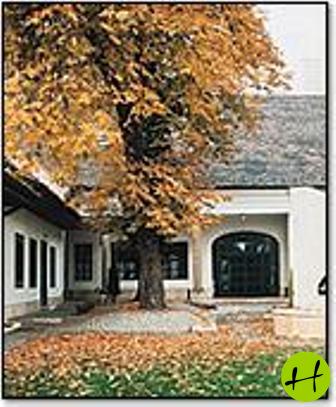 551_kert