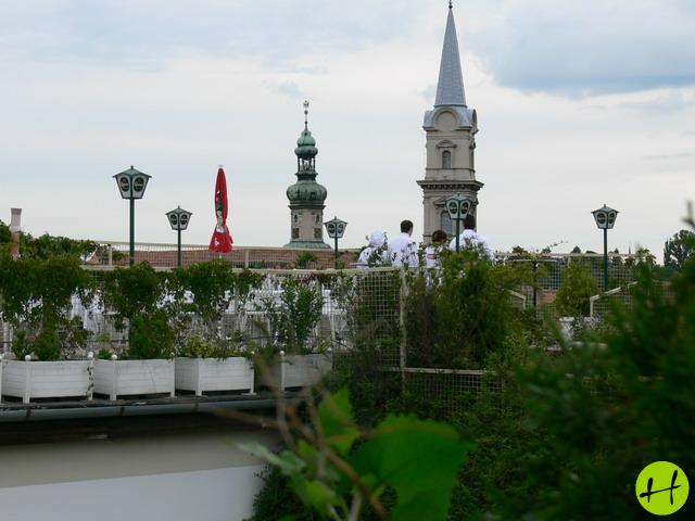 960_best_western_pannonia_med_latkep