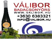 VáliBor. Váli Péter Borászata Badacsonyörs. Badacsonyi bor, balatoni borkóstolás. 